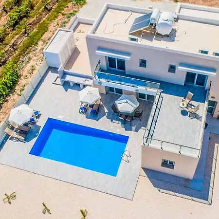 Demitrios Vine * Peyia